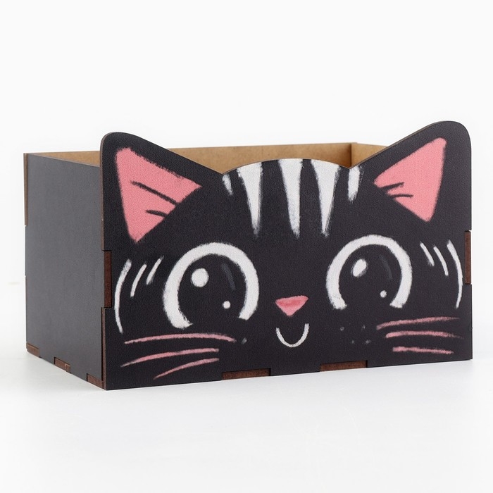 Органайзер для канцелярии &laquo;Чёрный котик&raquo;