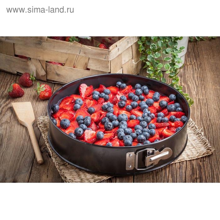 Форма для выпечки Доляна &laquo;Элин. Круг&raquo;, d=26 см, съёмное дно, антипригарное покрытие, цвет чёрный