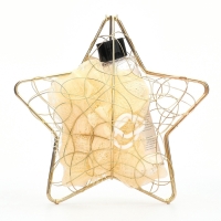 Новогодний подарочный набор косметики «Новогодняя звезда» для душа и ванны, золотая серия Новогодний подарочный набор косметики «Новогодняя звезда» для душа и ванны, золотая серия