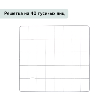 Инкубатор бытовой &laquo;Золушка-2020&raquo;, на 70 яиц, автоматический переворот, 220 В