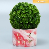 Горшок для цветов керамический с тиснением, кашпо «Мордочка», 8 х 5,5 см Горшок для цветов керамический с тиснением, кашпо «Мордочка», 8 х 5,5 см