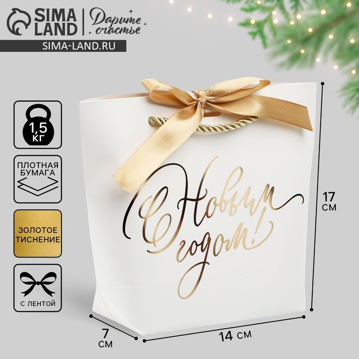 Пакет подарочный новогодний &laquo;С Новым годом&raquo;, 21 х 17 х 7 см