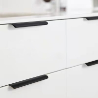 Ручка торцевая CAPPIO RT002BL, L=600 мм, м/о 480 мм, цвет черный Ручка торцевая CAPPIO RT002BL, L=600 мм, м/о 480 мм, цвет черный