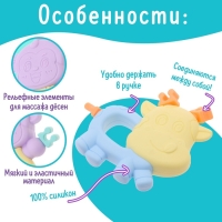 Набор прорезывателей для зубов &laquo;Забавные зверята&raquo;, 2 шт.