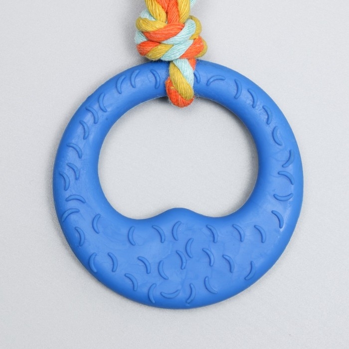 Игрушка жевательная с канатом "Гиря", синяя