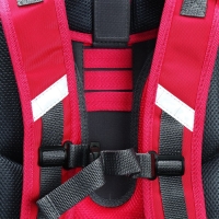 Рюкзак каркасный школьный 38 х 30 х 16 см, эргономичная спинка, Stavia "Йорки", розовый Рюкзак каркасный школьный 38 х 30 х 16 см, эргономичная спинка, Stavia "Йорки", розовый