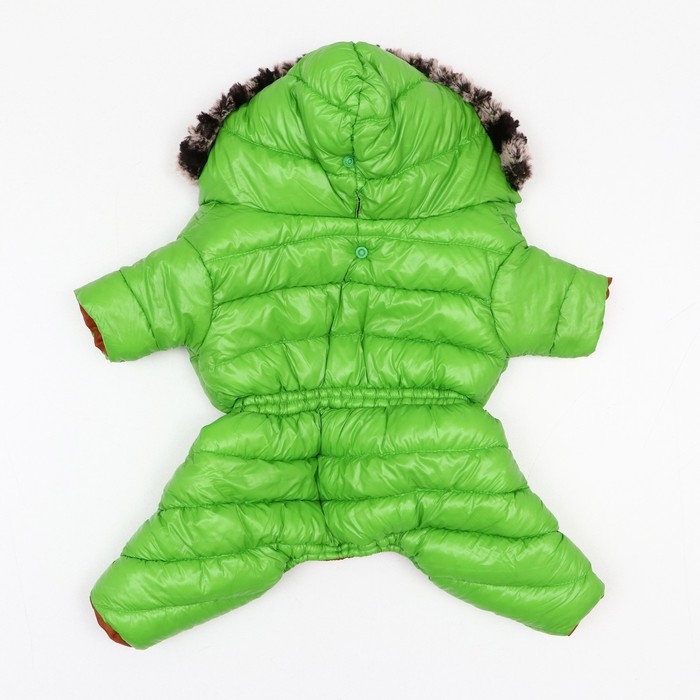 Комбинезон Комбинезон "Лайв" с утяжкой, размер 10 (ДС 25 см, ОГ 34 см, ОШ 24 см), салатовый