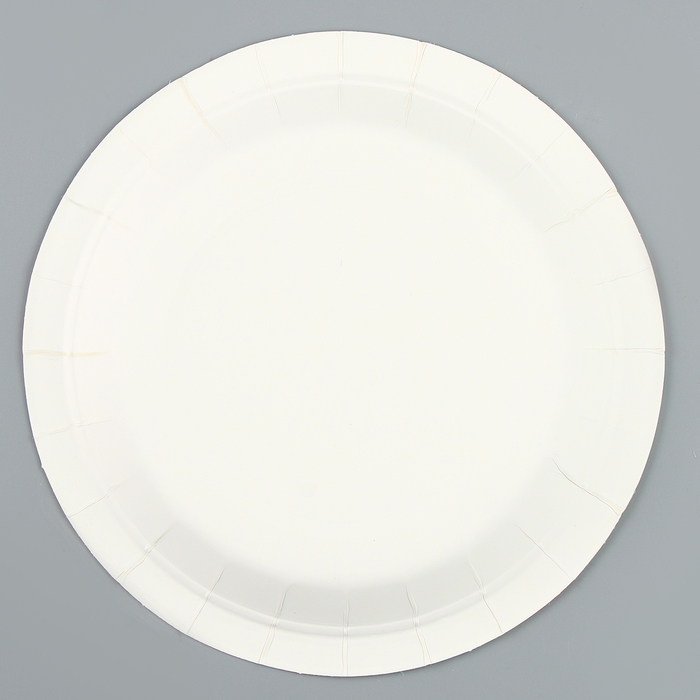 Тарелки бумажные &laquo;С днём рождения&raquo; с цветочками, 6 шт.