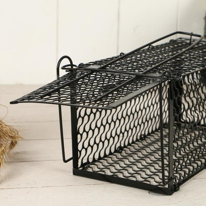 Крысоловка, 24 × 12 × 12 см, металлическая, Greengo Крысоловка, 24 × 12 × 12 см, металлическая, Greengo