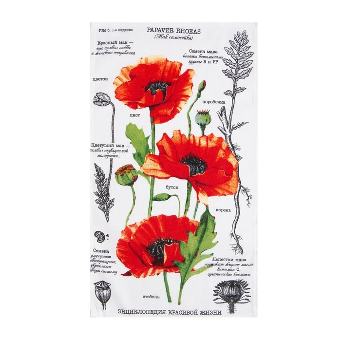 Набор кухонных полотенец Доляна &laquo;Весна&raquo; 35х60 см - 2шт, 100% хл