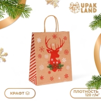 Новый год. Пакет бумажный подарочный новогодний крафт "Олень", 27 х 21 х 11 см. Новый год. Пакет бумажный подарочный новогодний крафт "Олень", 27 х 21 х 11 см.