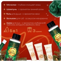 Новогодний подарочный набор косметики &laquo;Новый год не за горами&raquo; для душа и ванны, зеленая серия