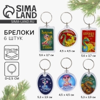 Брелок новогодний, для ключей &laquo;Загадай желание&raquo; микс из 6 шт