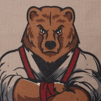 Фартук Доляна "Настоящий защитник" 70х60 см, рогожка,100% хл, 160г/м2 Фартук Доляна "Настоящий защитник" 70х60 см, рогожка,100% хл, 160г/м2