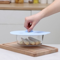 Крышка для хранения Доляна &laquo;Симпл&raquo;, силикон, d=21 см, цвет голубой