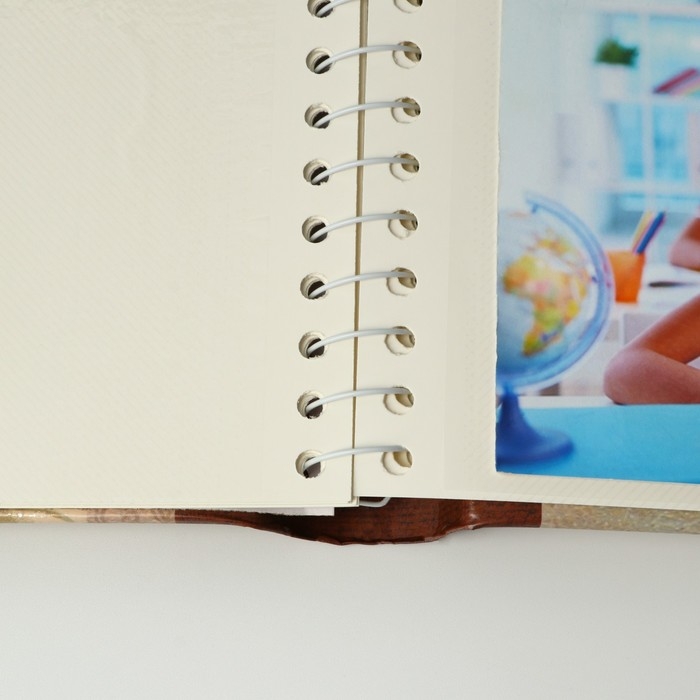 Фотоальбом &laquo;Классный журнал классного учителя&raquo;, 20 магнитных листов