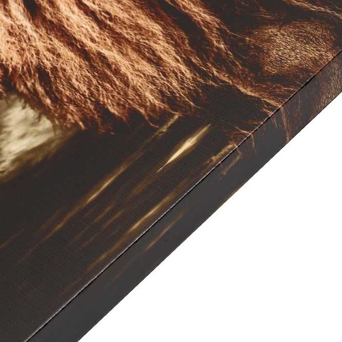 Картина-холст на подрамнике Картина-холст на подрамнике "В ярости" 50х70 см