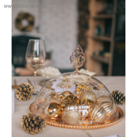 Тортовница с крышкой-клош, 31,5&times;23 см, цвет металла золотой