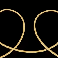 Гибкий неон Luazon Lighting 6 × 12 мм, IP65, 50 м, SMD2835, 120 LED/м, 12 В, свечение тёплое белое Гибкий неон Luazon Lighting 6 × 12 мм, IP65, 50 м, SMD2835, 120 LED/м, 12 В, свечение тёплое белое