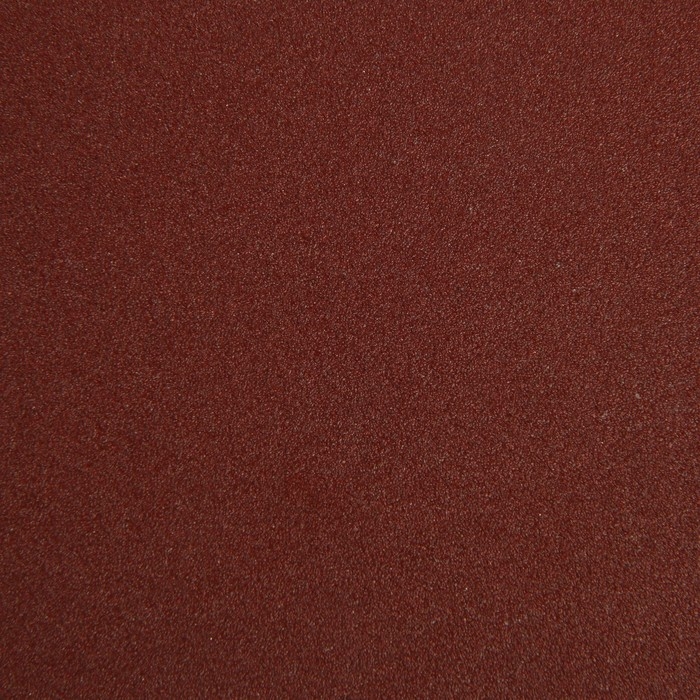 Круг абразивный шлифовальный под "липучку" ТУНДРА, 125 мм, Р150, 10 шт.