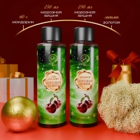 Новогодний подарочный набор косметики &laquo;Зимняя сказка&raquo;, с ароматом вишни и корицы. Зеленая серия.