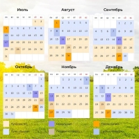 Семена Томат "Мамонтенок" набор 5 шт Семена Томат "Мамонтенок" набор 5 шт