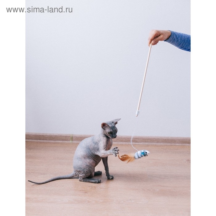 Дразнилка с махровой мышкой (7 см) на деревянной палочке, 40 см, микс цветов Дразнилка с махровой мышкой (7 см) на деревянной палочке, 40 см, микс цветов