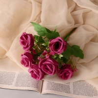 Букет "Роза Элегия" 5х27 см, микс Букет "Роза Элегия" 5х27 см, микс