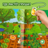 Наклейки многоразовые «Что где растёт», формат А4 Наклейки многоразовые «Что где растёт», формат А4