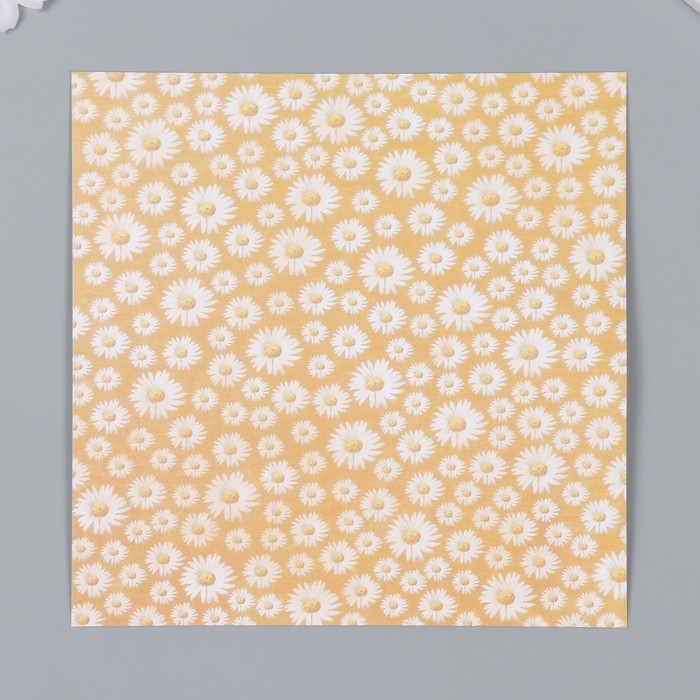 Набор бумаги для скрапбукинга 12 листов 12 дизайнов "Красота весны" 160 гр 15,2х15,2 см