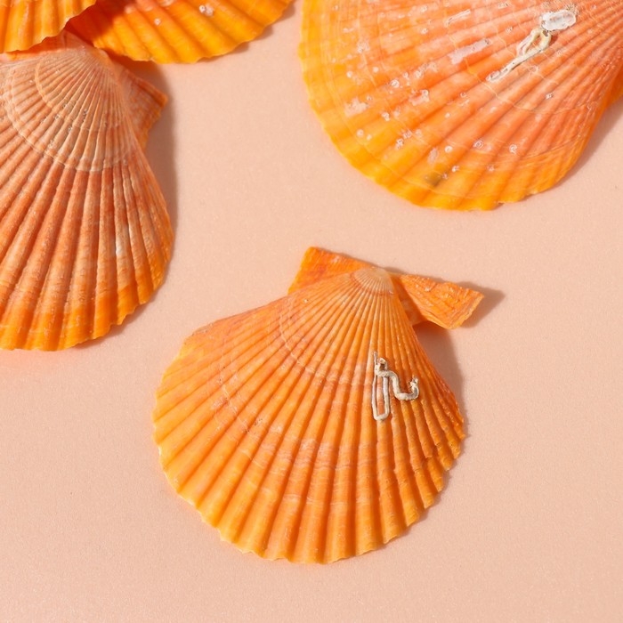 Ракушки природные декоративные Ракушки природные декоративные "Гребешок рыжая" набор 100 гр