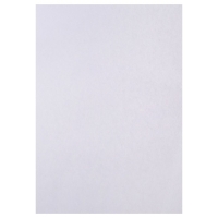 Набор 5л ватман чертежный А0 (840х1189) 200г/м2 ВА0 Набор 5л ватман чертежный А0 (840х1189) 200г/м2 ВА0