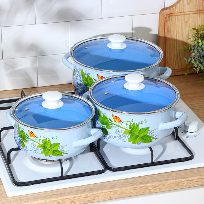 Набор эмалированных кастрюль &laquo;Гортензия&raquo;, 3 предмета: 2 л, 3 л, 4 л, индукция