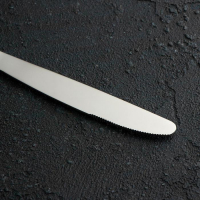 Набор столовый «Аппетит», 24 предмета, сувенирная коробка Набор столовый «Аппетит», 24 предмета, сувенирная коробка