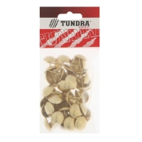 Гвозди ТУНДРА, декоративные, обивочные, 19х22 мм, золото, фасовка 50 шт Гвозди ТУНДРА, декоративные, обивочные, 19х22 мм, золото, фасовка 50 шт