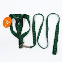 Комплект амуниции рельефный, поводок 120 х 2 см, ОГ 44-50 см, зелёно-чёрный Комплект амуниции рельефный, поводок 120 х 2 см, ОГ 44-50 см, зелёно-чёрный