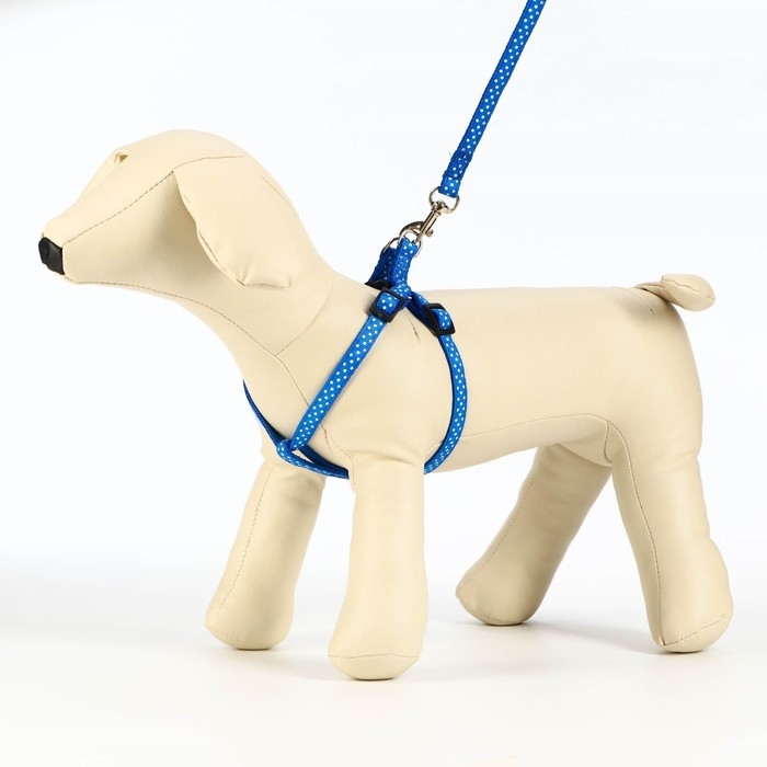 Комплект прошитый Комплект прошитый "Горошек", ширина 1 см, поводок 120 см, шлейка 23-35 см, синий