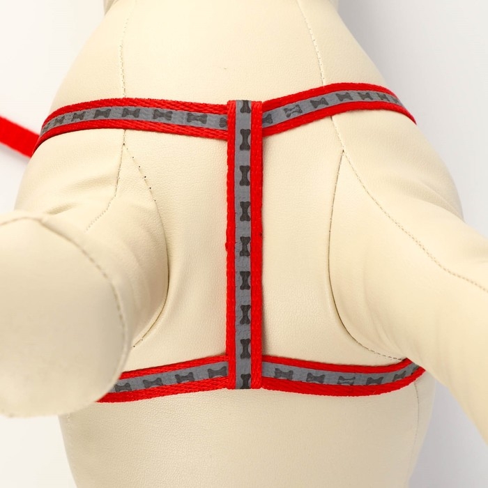 Комплект светоотражающий Комплект светоотражающий "Косточки", поводок 1 х 120 см (ОШ 26-42 см ,ОГ 26-42 см) красный