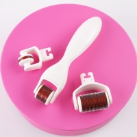 Массажер мезороллер &laquo;Будь всегда совершенна&raquo;, со сменными насадками 10 х 17 см