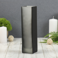 Ваза "Кошачье отражение", 21х5,5х5,5 см 0,32 л Ваза "Кошачье отражение", 21х5,5х5,5 см 0,32 л