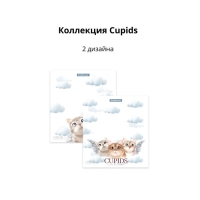 Набор обложек ПП 12 шт, 212 х 347 мм, 80 мкм, ErichKrause "Cupids", для тетрадей и дневников, МИКС Набор обложек ПП 12 шт, 212 х 347 мм, 80 мкм, ErichKrause "Cupids", для тетрадей и дневников, МИКС