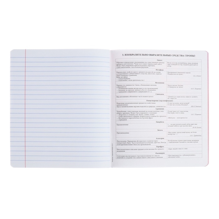 Тетрадь предметная ЛИТЕРАТУРА, 48 листов в линейку, ErichKrause Manga, обложка мелованный картон, твин-лак, блок офсет 100% белизна, инфо-блок