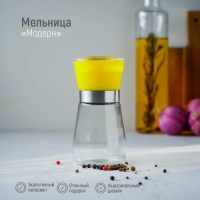 Мельница для специй Доляна «Модерн», 180 мл, 6,5×13 см, цвет жёлтый Мельница для специй Доляна «Модерн», 180 мл, 6,5×13 см, цвет жёлтый