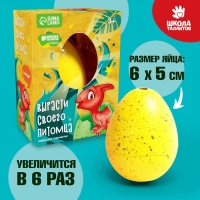 Растущие животные в яйце &laquo;Динозавр&raquo; МИКС