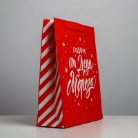 Пакет подарочный новогодний ламинированный &laquo;Подарок от Деда Мороза&raquo;, M 26 х 30 х 9 см