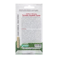 Семена цветов Вербена гибридная "Тускани Ледяной Туман", 10 шт Семена цветов Вербена гибридная "Тускани Ледяной Туман", 10 шт