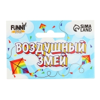 Воздушный змей &laquo;Принцесса&raquo;