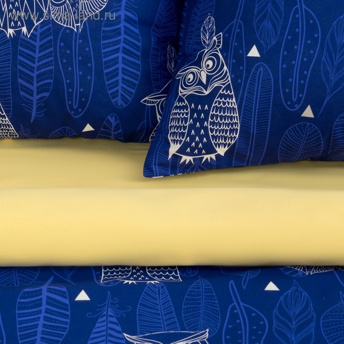 Постельное бельё "Этель" дуэт Ушастые совы (вид 3) 143 х 215 см - 2 шт., 220 х 240 см, 70 х 70 см - 2 шт