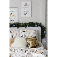 Постельное белье Этель Евро Let it snow (вид 1) 200*217 см, 240*220 см, 70*70 см - 2 шт