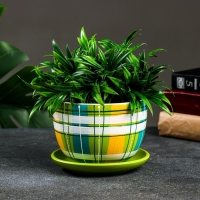 Горшок цветочный "Английская клетка" разноцветный, 0,5 л Горшок цветочный "Английская клетка" разноцветный, 0,5 л